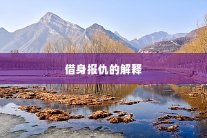 借身报仇的解释