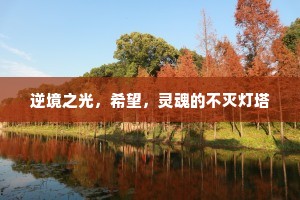 逆境之光，希望，灵魂的不灭灯塔