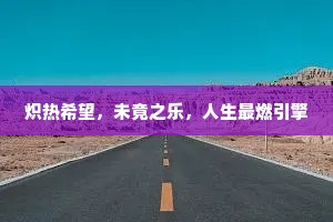 炽热希望，未竟之乐，人生最燃引擎