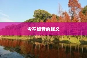 今不如昔的释义
