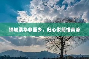 山河再阔千馀里，城市曾经一百春。的释义