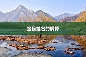 虚抛南楚滞西秦，白首依前衣白身。的释义