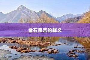金石良言的释义