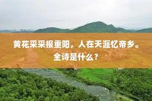 讼堂寂寂对烟霞，五柳门前聚晓鸦。出自哪首诗？