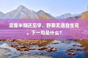 渡水蹇驴双耳直，避风羸仆一肩高。全诗是什么？