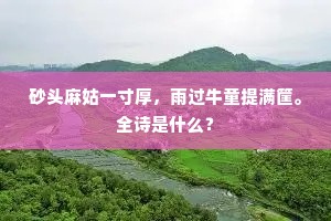 野色吟馀生竹外，山阴坐久入池中。的释义