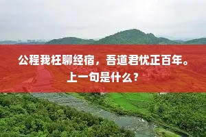 年来蠢动敢争豪，鳅鳝起舞狐狸嗥。下一句是什么？