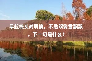 谪官谩说九年计，客枕曾无一夕安。出自哪首诗？