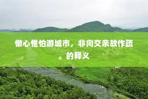 鹑衣鹄面成语的解释