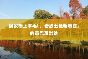 醇酒妇人成语的拼音