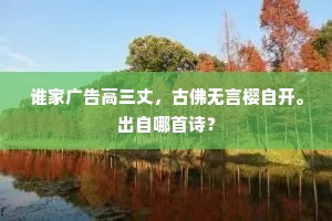 曳杖从师得摩尼，洗空愁肠天地廓。下一句是什么？