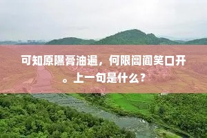 白云天下妙林泉，看君又作新法缘。下一句是什么？