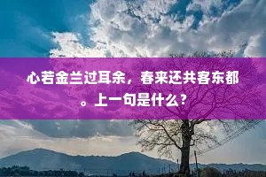 争注虫鱼股置锥，世外语言不到目。的释义