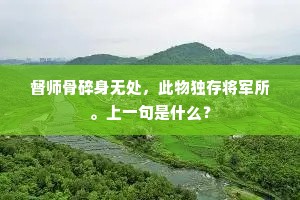 慈乌返哺成语的拼音