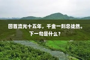 辞不达义成语的解释