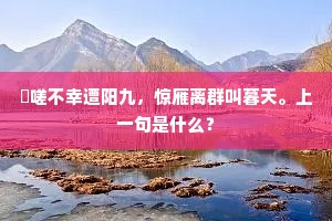 辞不达意成语的释义