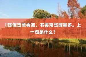 西庵轩槛多风月，幸子时来共茗瓯。上一句是什么？