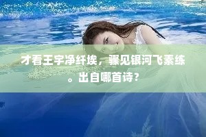 水陆辛勤已足矣，雪花更开九万里。全诗是什么？