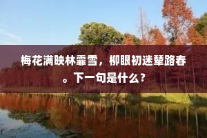 藜羹充腹初无憾，楛矢逾江生计愁。的解释