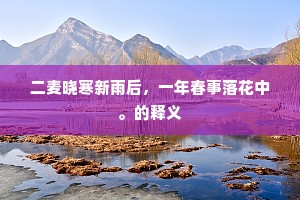 当时大镬四十石，馅粗如柱饼八尺。的意思及出处