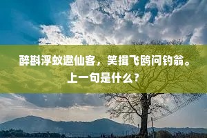 饱食起来舞金刚，挥戈天上驻斜日。下一句是什么？