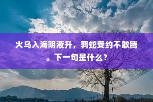 我闻幽轩榜芙蓉，琉璃十顷浸新红。上一句是什么？