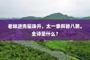 聪明绝世成语的释义