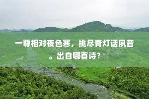 四时欲尽三更鼓，六出番成两岁寒。的解释