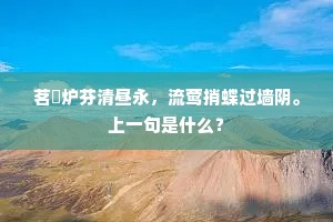 异时报德但修身，那用张良袖中铁。下一句是什么？