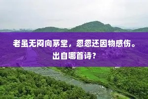 骑马不前真有恨，留衣过腊岂无心。下一句是什么？