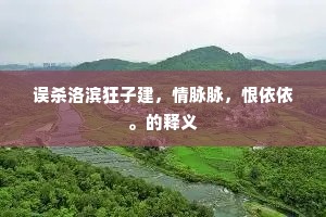 从中渔利成语的拼音 从中渔利成语的拼音