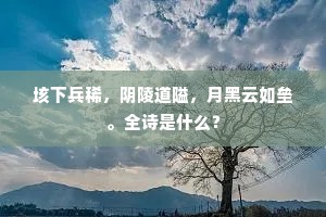 聪明反被聪明误成语的释义
