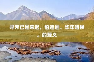 粗通文墨成语的拼音