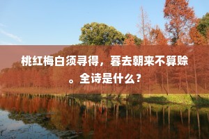 翠华竟作沙漠行，望云顿有关河阻。的解释