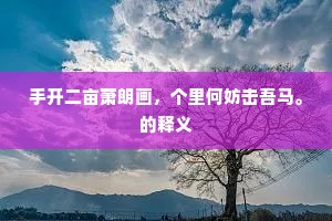 况公家世足风流，封胡羯末又贤子。的意思及出处