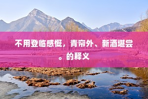 大发慈悲成语的释义