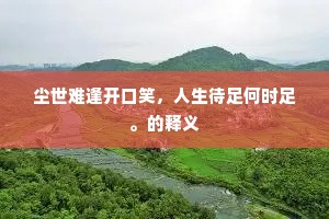 箕踞胡床挥麈尾，万指未充空洞腹。下一句是什么？