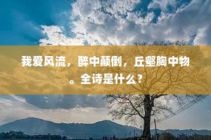 大法小廉成语的解释