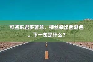 堂堂国士洪夫子，刻烛从渠心自降。的解释