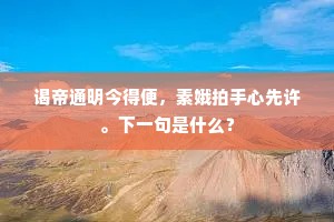大放厥词成语的解释