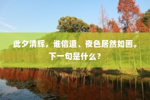 昴星下天扶汉德，长庚乃向开元谪。上一句是什么？
