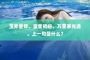 光芒相照数百年，一尊不得闻风月。出自哪首诗？
