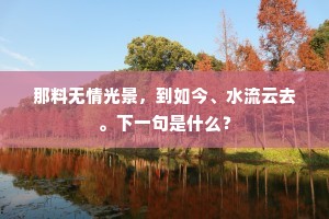 重城突兀万胡奴，杳隔銮舆今十日。的解释