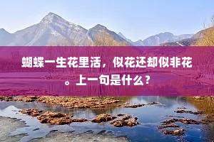 太王事狄空金帛，坐使卜年逾八百。出自哪首诗？