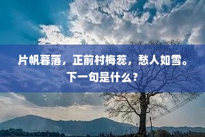 大起大落成语的拼音