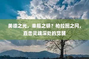 踪迹平生半九区，醉倒时得蛾眉扶。的意思及出处