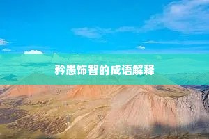 矜愚饰智的成语解释