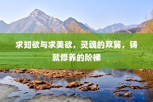 大张声势成语的解释
