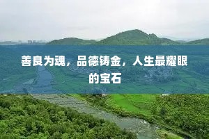 代人说项成语的拼音