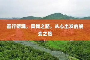 善行铸魂，真我之路，从心出发的蜕变之旅